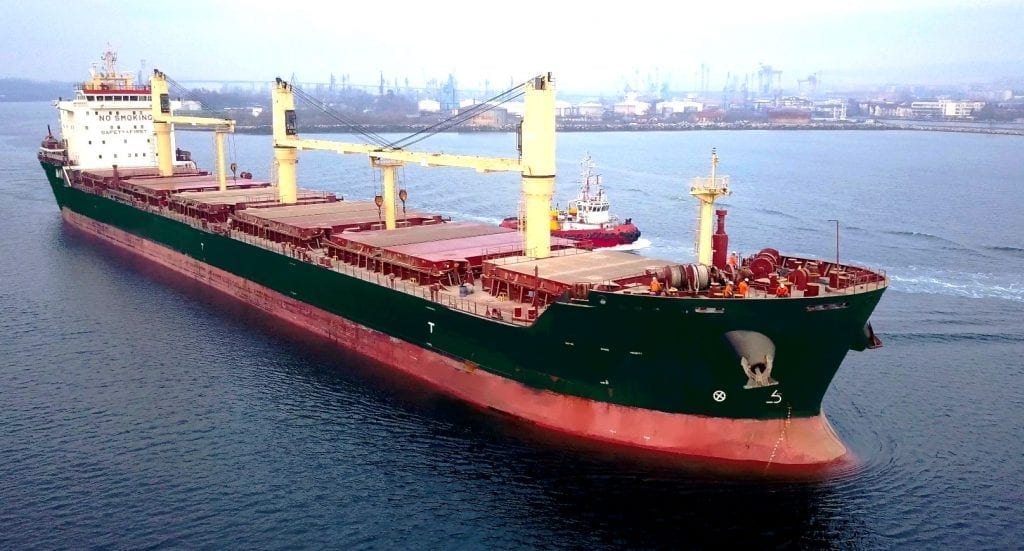 soorten vrachtschepen - bulk carrier