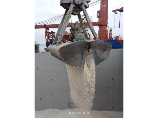 M/V Laga — 3,300 mt toorsoola puistena